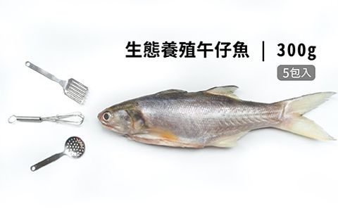【飼好漁 生態養殖午仔魚300g 五包組】