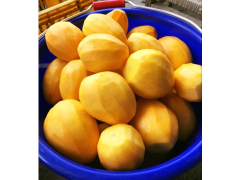【超甜愛文芒果 5斤(10~13顆)禮盒裝】小家庭專屬，鮮紅艷麗的盛夏滋味！