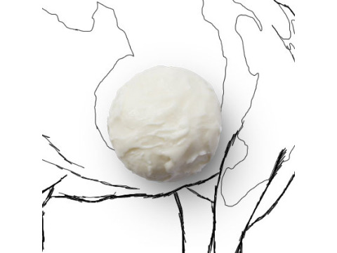 【香醇生乳冰淇淋】來自牧場鮮擠生乳  無添加香精色素