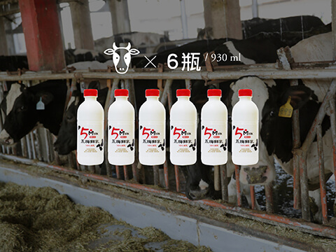 【五梅鮮奶 930cc 6瓶組】鮮乳來自全台最高品質五梅獎牧場 成分無調整 牛奶新鮮配送到家! 
