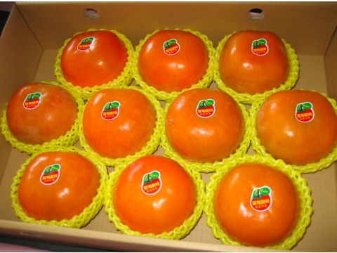 【摩天嶺 日本品種高山甜柿 12入禮盒裝】甜度破表 口感紮實 讓您一柿就上癮