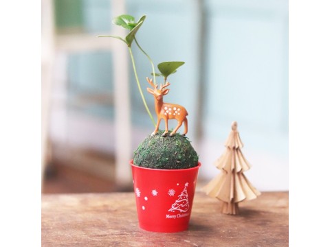 【迎光】耶誕麋鹿綠苔球-幸運樹