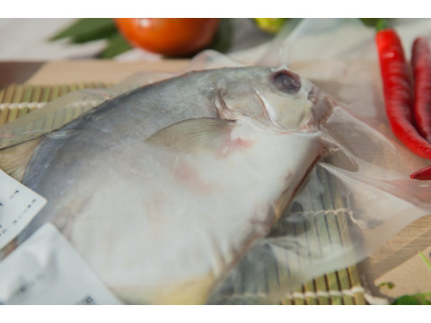 【美味海鮮 黃金鯧 300g 五入組】用好飼料好環境養好魚