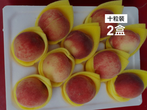 【拉拉山五月桃10粒×2盒】老品種五月桃 產地直送拉拉山的美味！