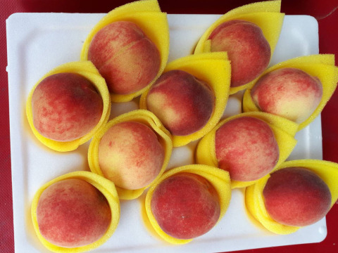 【拉拉山五月桃10粒×2盒】老品種五月桃 產地直送拉拉山的美味！