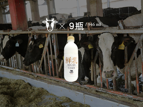 【明全鮮乳 946ml 9瓶組】超高標準牧場管理的牛奶 第二代瞞著父親也要完成的使命鮮奶