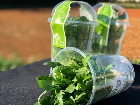 水野菜 四小福 四種品項綜合箱 8入組 奧丁丁開放市集