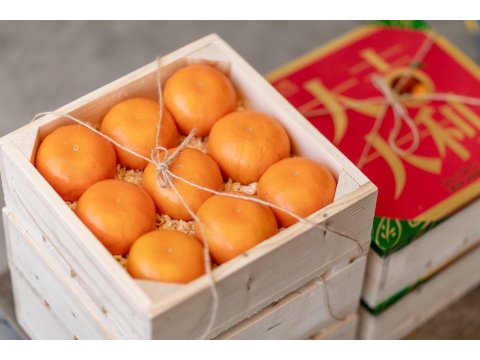 【橘二代 - 大吉大利茂谷柑禮盒(手工木盒裝9顆入)】草生栽培的優質橘子，逢年過節送禮首選！