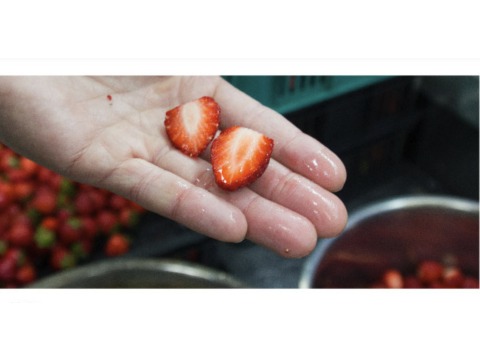 【法式手工果醬｜獅潭 草莓果醬】獨家冷藏釀漬技術 釀出草莓的迷人酸甜
