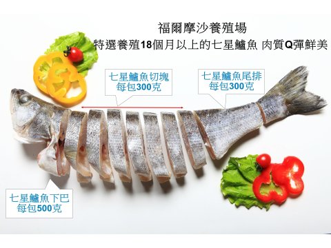 【七星鱸魚下巴500g(3~6片)】生態養殖・低溫急凍鮮活魚