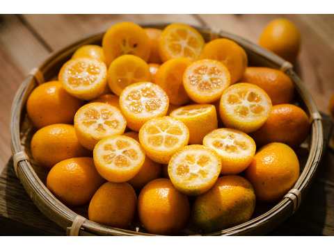 【有機長實金柑2斤禮盒組】酸中帶甜的有機金棗！