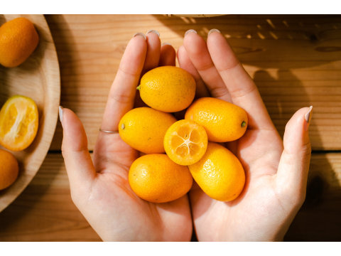 【有機長實金柑2斤禮盒組】酸中帶甜的有機金棗！