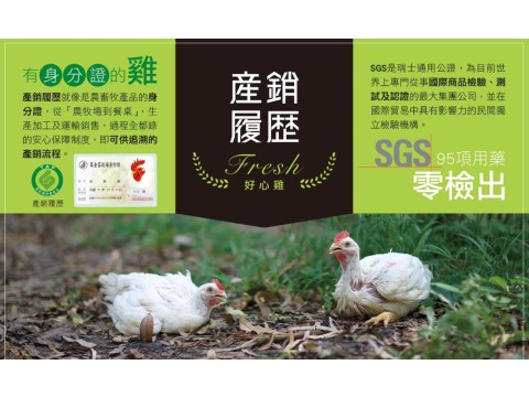 【萬金生鮮尚穀雞 全雞(去頭爪) 1,500g±5%/隻】住豪宅常運動的雞 通過SGS檢驗合格
