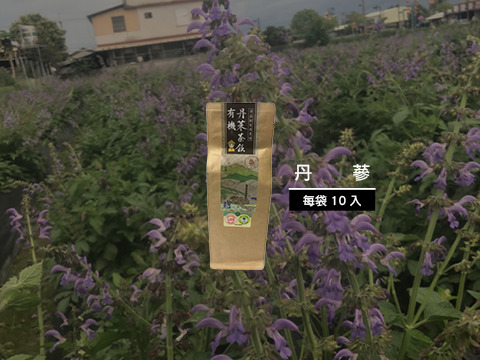 【綜合養生茶包十件免運組】紫錐菊、丹蔘、當歸、白鶴靈芝、洋甘菊