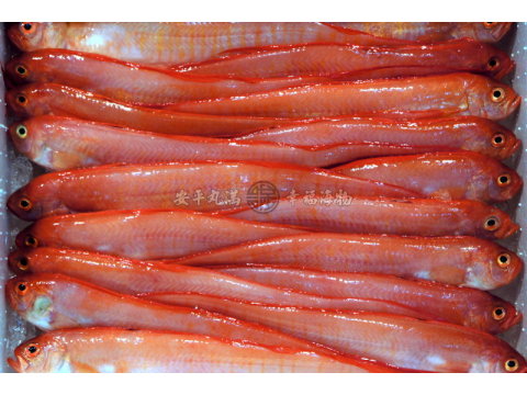 【紅帶魚 單尾 200g】真正現流海鮮 急速冷凍新鮮到家