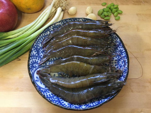 【白蝦(XL)500g(11~15尾)】生態養殖・低溫急凍鮮活蝦