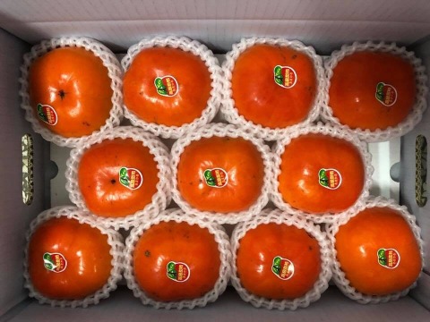 【（已秒殺，請參考其他規格）預購！大雪山 日本品種早秋甜柿禮盒(12顆)】絕佳地理條件孕育出最自然甜美的柿子
