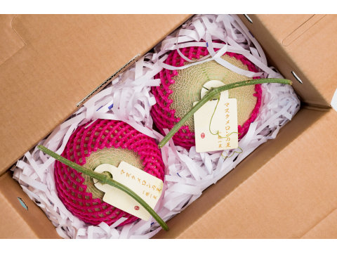 【期間限定 台南十三號洋香瓜兩入禮盒(1.8kg/顆)】 果肉細緻、入口即化的綠肉哈密瓜