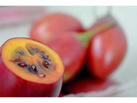 【特惠！南投水里 蜜釀樹番茄一瓶 】安地斯山脈上的琉璃果 樹蕃茄小小一顆CP值爆表