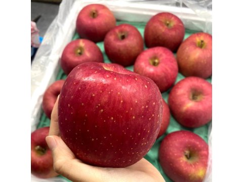 【日本青森富士蘋果12入禮盒裝】紅潤脆甜的日本蜜蘋果，一年一度產季到囉！