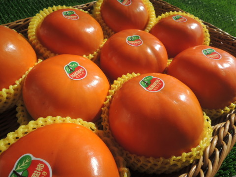 【甜蜜預購 蘿拉的大雪山甜柿6粒裝(9A)】口感脆甜多汁 超人氣柿子！
