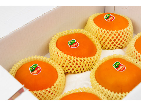 【甜蜜預購 蘿拉的大雪山甜柿6粒裝(9A)】口感脆甜多汁 超人氣柿子！