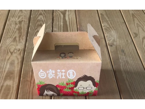 【嚴選！友善栽培的繽紛草莓箱 (3盒/箱)】紅草莓鮮豔香甜 白草莓稀有微酸
