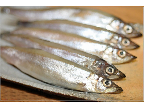 【船凍抱卵柳葉魚】只要新鮮，簡單料理即是美味