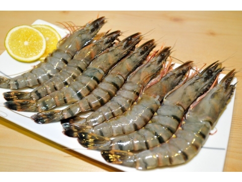 【特級活凍草蝦8P】只要新鮮，簡單料理即是美味