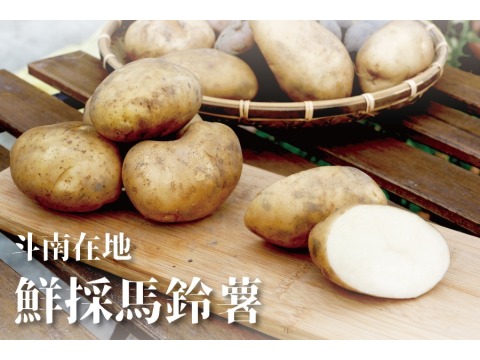 【台灣本土種植 彩色馬鈴薯 7斤裝】口感酥軟香甜綿密 無添加抑芽劑