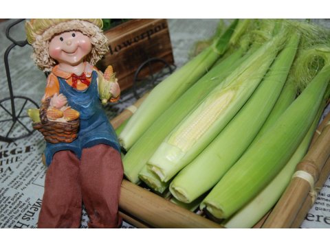 【紅龍果5斤+玉米筍5斤裝】火龍果配蔬菜 營養滿分的蔬果箱