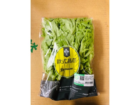 『水野菜-綠橡木萵苣』無農藥水耕蔬菜