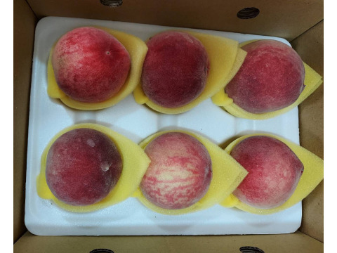 【最優質的水蜜桃 6入(2斤)】產季只有一個月 讓人垂涎欲滴的拉拉山水蜜桃！