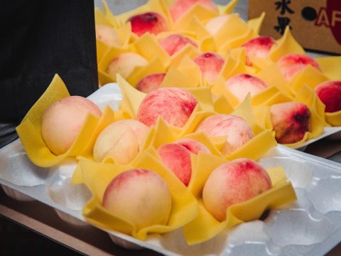 【預購！梨山超人氣的高山水蜜桃10顆裝(2.5斤)】香甜飽滿又多汁 高山下的甜美桃子