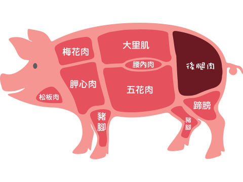 【OMEGA 亞麻籽豬肉 手切精選肉絲250g】Omega亞麻籽養殖 讓肉質層次更豐富