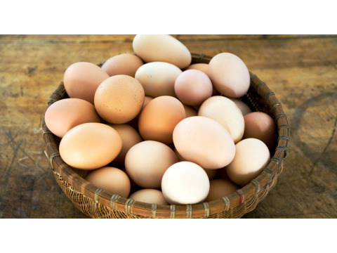 【安安益身蛋 精選放山雞蛋一盒(15入)】非籠飼養 才能產下好蛋