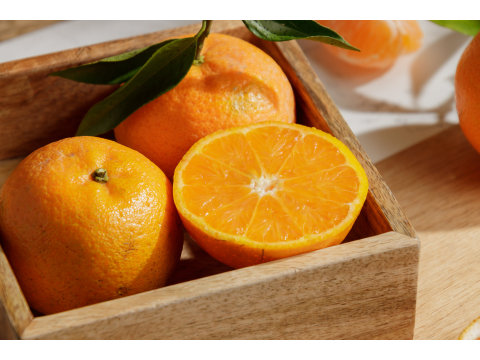 【苗栗獅潭 - 深山無籽桶柑10斤裝】今年度最有橘味的多汁桶柑！