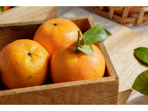 【苗栗獅潭 - 深山無籽桶柑20斤裝】今年度最有橘味的多汁桶柑！