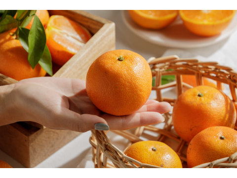 【苗栗獅潭 - 深山無籽桶柑20斤裝】今年度最有橘味的多汁桶柑！