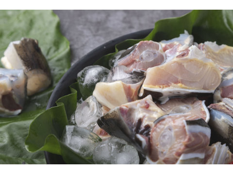 【樂山莊 鱘龍魚頭尾骨 600g】營養價值最高的魚種之一 簡單燉煮營養您的餐桌