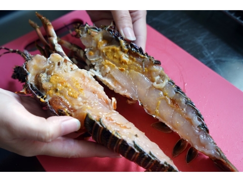 【山田大叔 葉門龍蝦(700g)】急凍鎖鮮 在家就能吃到的鮮甜海味