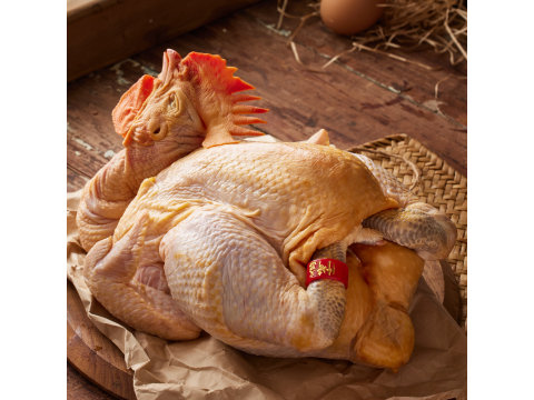 【金緗雞 母雞全雞2.3公斤】吃玉米長大的雞 金皮Q彈油黃多汁