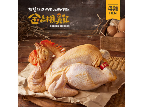 【金緗雞 母雞全雞2.3公斤】吃玉米長大的雞 金皮Q彈油黃多汁