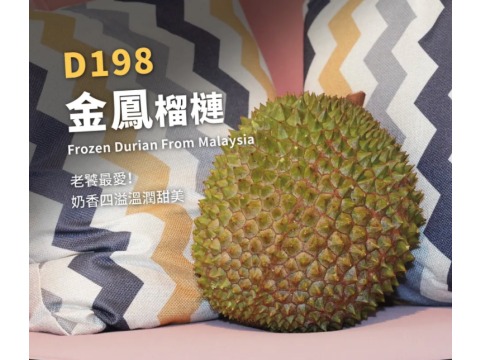 【正宗！馬來西亞D198金鳳榴槤400g/盒】香甜回甘多層次，一生必須吃一次