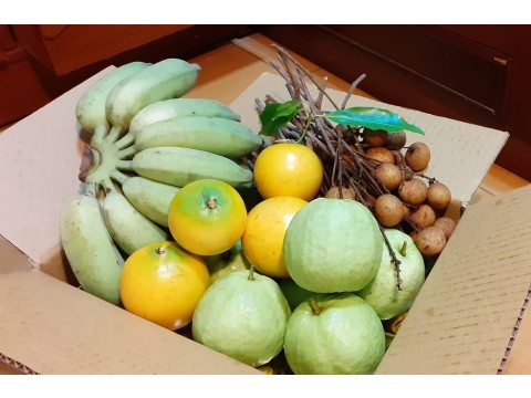 【高雄田寮 自然甜味有機綜合水果箱 6斤裝】依農場季節水果出貨 內含至少3品項
