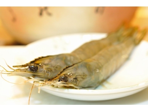 【特級活凍鹹水白蝦250g】只要新鮮，簡單料理即是美味