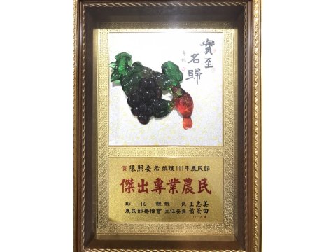 【預購期間限定 台南十三號洋香瓜兩入禮盒(2.1kg/顆)】 果肉細緻、入口即化的綠肉哈密瓜
