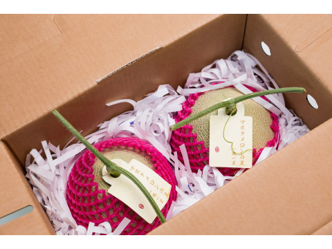 【預購期間限定 台南十三號洋香瓜兩入禮盒(2.1kg/顆)】 果肉細緻、入口即化的綠肉哈密瓜