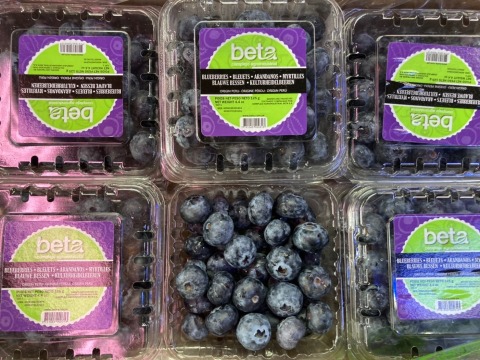 【祕魯 新鮮藍莓125g×6盒】充滿花青素 微酸甜 OL的好伙伴