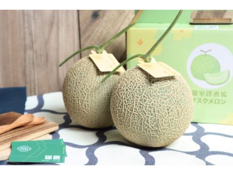 【期間限定 阿露斯洋香瓜兩入禮盒(1.3~1.4kg/顆)】香甜多汁、最頂級的綠肉哈密瓜